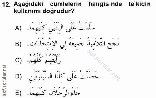 12. soru: Aşağıdaki cümlelerin hangisinde te'kidin kullanımı doğrudur? سَلَمْتُ عَلَى البِنتيْنِ كِلَيْهِمَا. (A نَجَح التَّلاَ…