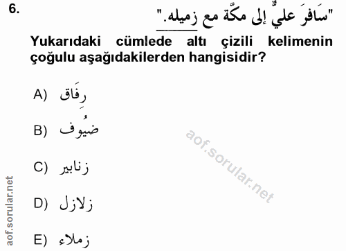 6. soru: "سَافرَ عليّ إلى مكّة مع زميله." Yukarıdaki cümlede altı çizili kelimenin çoğulu aşağıdakilerden hangisidir? A) JÚ, ض…
