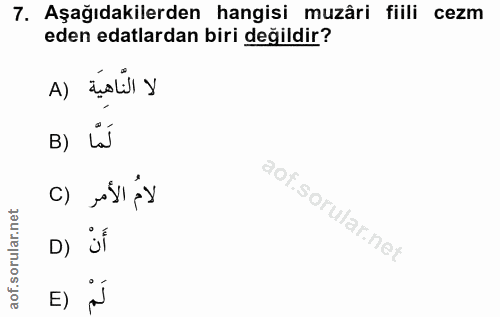 7. soru: Aşağıdakilerden hangisi muzâri fiili cezm eden edalardan biri değildir? لا النَّاهِيَة (A لَمّا ( B لامُ الأمر D) أَن…