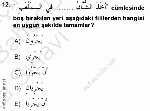 12. soru: فِي المَلْعَبِ." .12 …...Üçüs tai" cümlesinde boş bırakılan yeri aşağıdaki fiillerden hangisi en uygun şekilde tamaml…