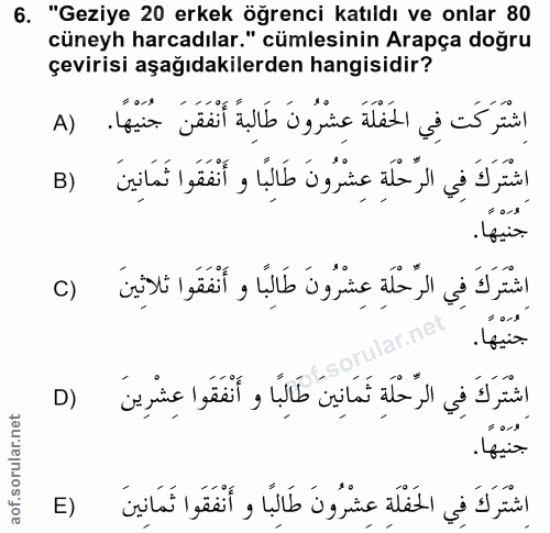 6. soru: "Geziye 20 erkek öğrenci katıldı ve onlar 80 cüneyh harcadılar." cümlesinin Arapça doğru çevirisi aşağıdakilerden han…