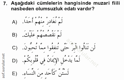 7. soru: Aşağıdaki cümlelerin hangisinde muzari fiili nasbeden olumsuzluk edatı vardır? لَمْ نُغَادِرْ مِنْهُمْ أَحَدًا. (A لَ…