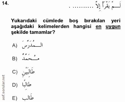 14. soru: لَمْ يَقْرَأْ إلا ........... Yukarıdaki cümlede boş bırakılan yeri aşağıdaki kelimelerden hangisi en uygun şekilde t…