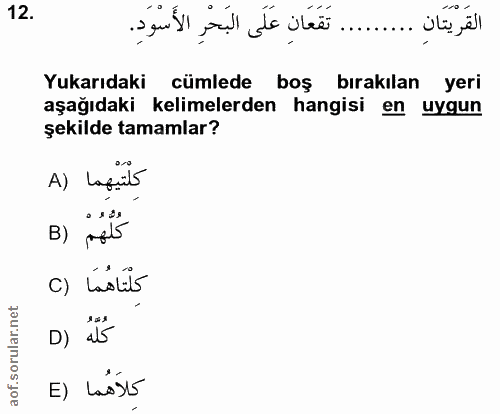 12. soru: ........ تَقَعَانِ عَلَى البَحْرِ الأَسْوَدِ . القريتان Yukarıdaki cümlede boş bırakılan yeri aşağıdaki kelimelerden…