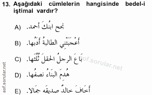 13. soru: Aşağıdaki cümlelerin hangisinde bedel-i iştimal vardır? A) „dai elil ad. أَعْجَبَتْنِي الطالبةُ أَدَبُها. (B c) fit f…