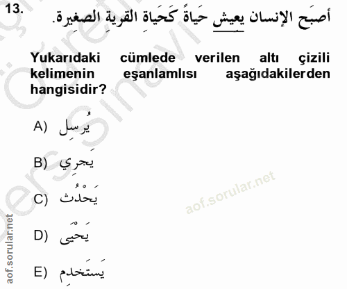 13. soru: أصبَح الإنسان يعيش حَياةً كَحَياةِ القريةِ الصغِيرة. Yukarıdaki cümlede verilen altı çizili kelimenin eşanlamlısı aşa…