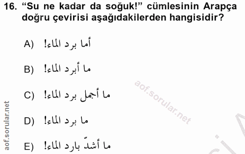 16. soru: "Su ne kadar da soğuk!" cümlesinin Arapça doğru çevirisi aşağıdakilerden hangisidir? A) !ellI ayi Lol .sorular.nei