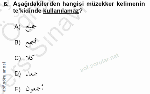 6. soru: Aşağıdakilerden hangisi müzekker kelimenin te'kîdinde kullanılamaz? A) B) cai C) X5 D) çlas. E) Ügral