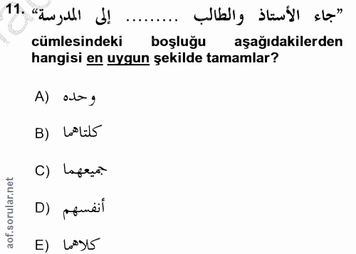 11. soru: إلى المدرسة» .11 "جاء الأستاذ والطالب cümlesindeki boşluğu aşağıdakilerden hangisi en uygun şekilde tamamlar? A) atag…