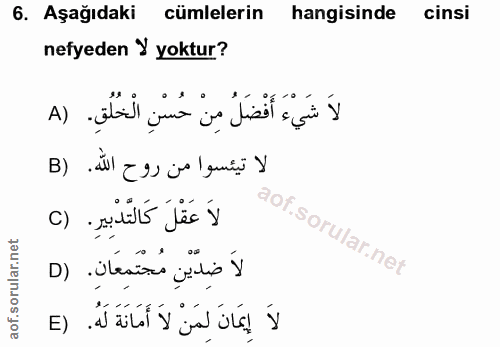 6. soru: Aşağıdaki cümlelerin hangisinde cinsi nefyeden У yoktur? لاَ شَيْءَ أَفْضَلُ مِنْ حُسْنِ الْخُلُقِ. (A لا تيئسوا من ر…