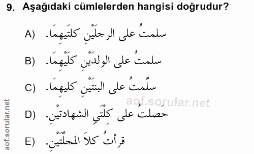 9. soru: Aşağıdaki cümlelerden hangisi doğrudur? سلمتُ على الرجلَيْنِ كلتَيهِمَا. (A سلمتُ على الولدَيْنِ كلَيْهِمَا. (B سلَّم…