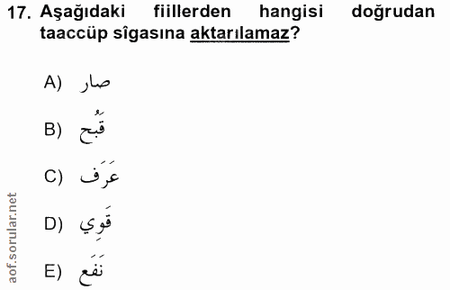 17. soru: Aşağıdaki fiillerden hangisi doğrudan taaccüp sîgasına aktarılamaz? A) ho B) C) i,s D) ÇÃ نَفَع (E