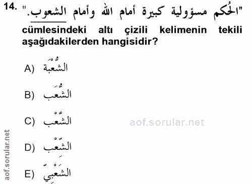 14. soru: "الحكم مسؤولية كبيرة أمام اللّٰه وأمام الشعوب." .14 cümlesindeki altı çizili kelimenin tekili aşağıdakilerden hangisi…