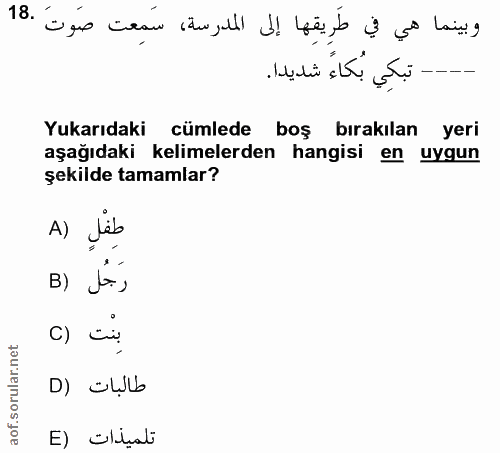 18. soru: وبينما هي في طَرِيقِها إلى المدرسة، سَمِعت صَوتَ .18 تبكِي بُكاءُ شديدا. Yukarıdaki cümlede boş bırakılan yeri aşağıd…