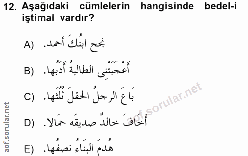 12. soru: Aşağıdaki cümlelerin hangisinde bedel-i iştimal vardır? نجح ابنُكَ أحمد. (A أَعْجَبَتْنِي الطالبةُ أَدَبُها. (B بَاعَ…
