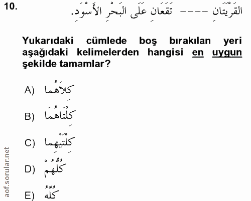10. soru: تَقَعَانِ عَلَى البَحْرِ الأَسْوَدِ. القَريتَان Yukarıdaki cümlede boş birakılan yeri aşağıdaki kelimelerden hangisi…