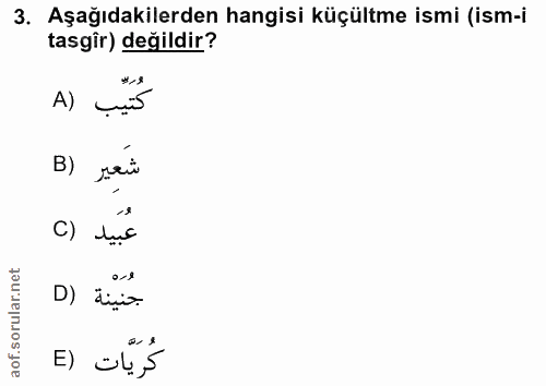 3. soru: Aşağıdakilerden hangisi küçültme ismi (ism-i tasgîr) değildir? A) B) sair c) lục 0.9 D) äçüz كُرَيَّات (E
