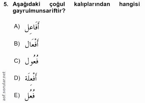 5. soru: Aşağıdaki çoğul kalıplarından hangisi gayrulmunsariftir? A) Jelil B) Jést فُعُول () D) ábit E) Jes
