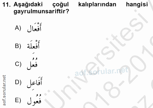 11. soru: Aşağıdaki çoğul kalıplarından hangisi gayrulmunsariftir? A) Jöl 'sites B) abest c) Jes adr botular.n6 D) Jell E) Jgró