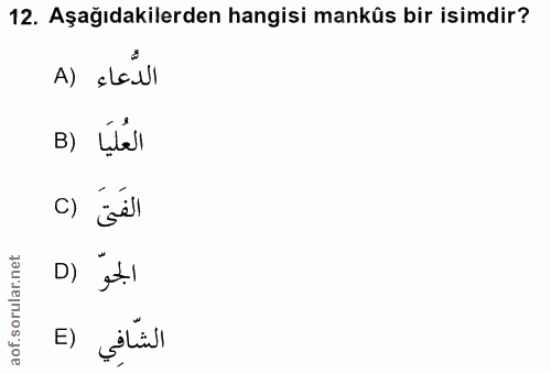 12. soru: Aşağıdakilerden hangisi mankûs bir isimdir? الدُّعاء (A B) العليا C) الفتى D) E) الشَّافِي
