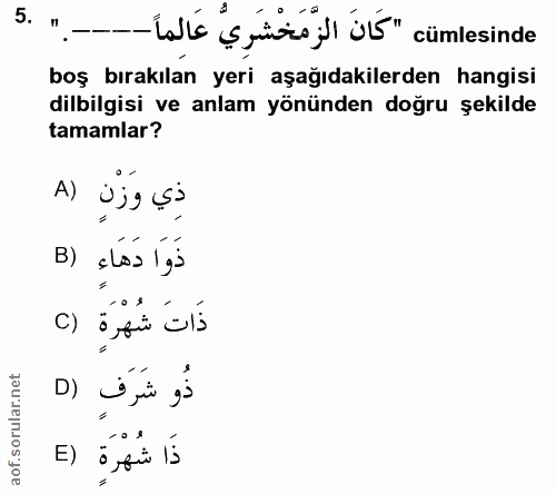 5. soru: . --Lalé s yiteo I ü5" cümlesinde boş bırakılan yeri aşağıdakilerden hangisi dilbilgisi ve anlam yönünden doğru şekil…