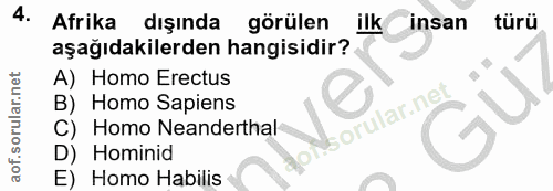 4. soru: Afrika dışında görülen ilk insan türü aşağıdakilerden hangisidir? A) Homo Erectus B) Homo Sapiens C) Homo Neanderthal…
