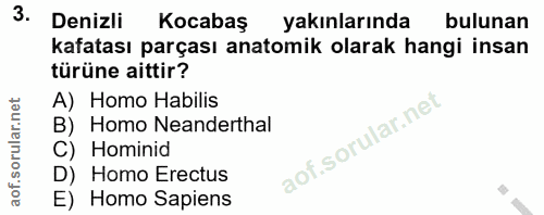 3. soru: Denizli Kocabaş yakınlarında bulunan kafatası parçası anatomik olarak hangi insan türüne aittir? A) Homo Habilis B) H…