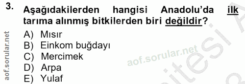 3. soru: Aşağıdakilerden hangisi Anadolu'da ilk tarıma alınmış bitkilerden biri değildir? A) Mısır B) Einkom buğdayı C) Mercim…