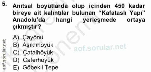 5. soru: Anıtsal boyutlarda olup içinden 450 kadar bireye ait kalıntılar bulunan "Kafataslı Yapı" Anadolu'da hangi yerleşmede…