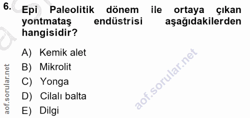 6. soru: Epi Paleolitik dönem ile ortaya çıkan yontmataş endüstrisi aşağıdakilerden hangisidir? A) Kemik alet rular.net B) Mik…