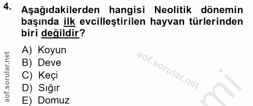 4. soru: Aşağıdakilerden hangisi Neolitik dönemin başında ilk evcilleştirilen hayvan türlerinden biri değildir? A) Koyun B) De…
