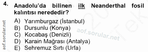4. soru: Anadolu'da bilinen ilk Neanderthal fosil kalıntısı nerededir? A) Yarımburgaz (Istanbul) B) Dursunlu (Konya) C) Kocaba…