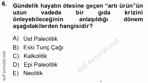 6. soru: Gündelik hayatın ötesine geçen "artı ürün"ün uzun vadede krizini önleyebileceğinin anlaşıldığı dönem aşağıdakilerden…
