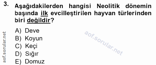 3. soru: Aşağıdakilerden hangisi Neolitik dönemin başında ilk evcilleştirilen hayvan türlerinden biri değildir? A) Deve ar. B)…