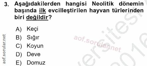 3. soru: Aşağıdakilerden hangisi Neolitik dönemin başında ilk evcilleştirilen hayvan türlerinden biri değildir? A) Keçi B) Sığ…
