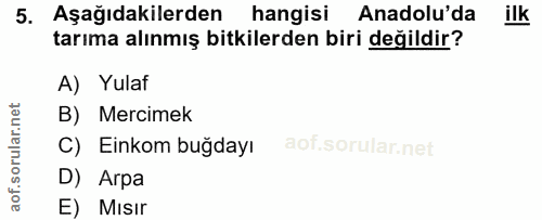 5. soru: Aşağıdakilerden hangisi Anadolu'da ilk tarıma alınmış bitkilerden biri değildir? A) Yulaf B) Mercimek C) Einkom buğda…