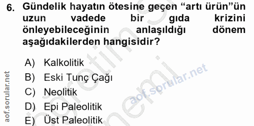 6. soru: Gündelik hayatın ötesine geçen "artı ürün"ün uzun vadede bir gida krizini önleyebileceğinin anlaşıldığı dönem aşağıda…
