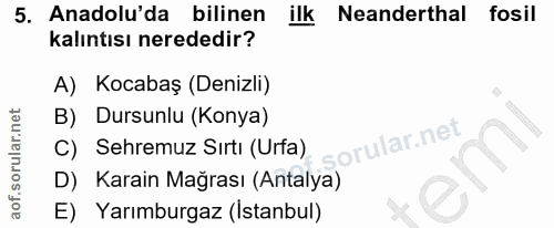 5. soru: Anadolu'da bilinen ilk Neanderthal fosil kalıntısı nerededir? A) Kocabaş (Denizli) B) Dursunlu (Konya) C) Sehremuz Sı…