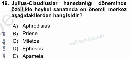 19. soru: Julius-Claudiuslar hanedanlığı döneminde özellikle heykel sanatında en önemli merkez aşağıdakilerden hangisidir? A) A…