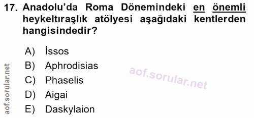 17. soru: Anadolu'da Roma Dönemindeki en önemli heykeltıraşlık atölyesi aşağıdaki kentlerden hangisindedir? A) Issos B) Aphrodi…