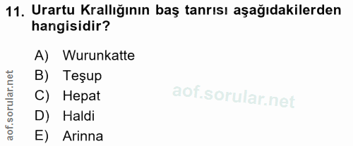 11. soru: Urartu Krallığının baş tanrısı aşağıdakilerden hangisidir? A) Wurunkatte B) Teşup C) Hepat D) Haldi aof. E) Arinna