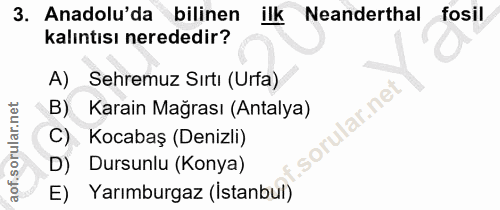 3. soru: Anadolu'da bilinen ilk Neanderthal fosil kalıntısı nerededir? A) Sehremuz Sırtı (Urfa) B) Karain Mağrası (Antalya) so…
