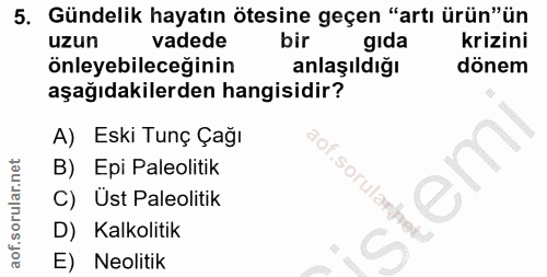 5. soru: Gündelik hayatın ötesine geçen "artı ürün"ün uzun vadede bir gıda krizini önleyebileceğinin anlaşıldığı dönem aşağıda…