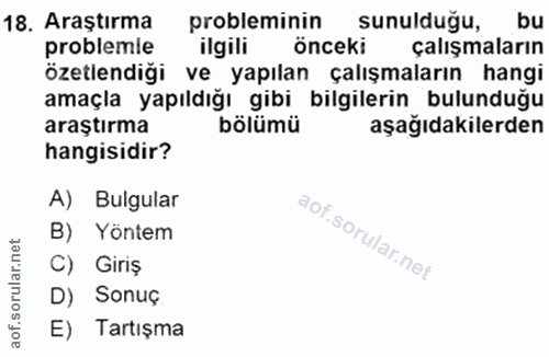 18. soru: probleminin sunulduğu, bu ilgili önceki çalışmaların özetlendiği ve yapılan çalışmaların hangi amaçla yapıldığı gibi…