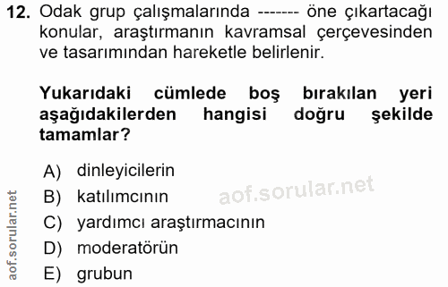 12. soru: Odak grup çalışmalarında - öne çıkartacağı konular, araştırmanın kavramsal çerçevesinden ve tasarımından hareketle be…