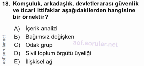 18. soru: Komşuluk, arkadaşlık, devletlerarası güvenlik ve ticari ittifaklar aşağıdakilerden hangisine bir örnektir? A) İçerik…