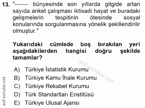13. soru: "- bünyesinde son yıllarda gitgide artan sayıda anket çalışması iktisadi hayat ve buradaki gelişmelerin tespitinin öt…