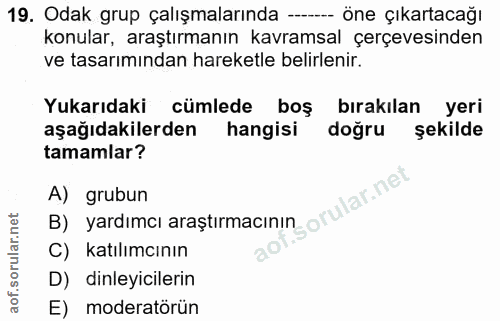 19. soru: Odak grup çalışmalarında - öne çıkartacağı konular, araştırmanın kavramsal çerçevesinden ve tasarımından hareketle be…