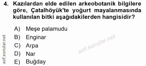 4. soru: Kazılardan elde edilen arkeobotanik bilgilere göre, Çatalhöyük'te yoğurt mayalanmasında kullanılan bitki aşağıdakiler…