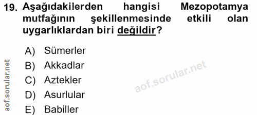 19. soru: Aşağıdakilerden hangisi Mezopotamya mutfağının şekillenmesinde etkili olan uygarlıklardan biri değildir? A) Sümerler…